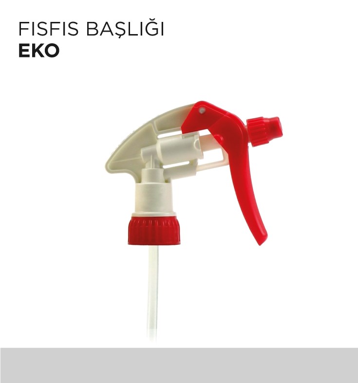 FISFIS BAŞLIĞI EKO