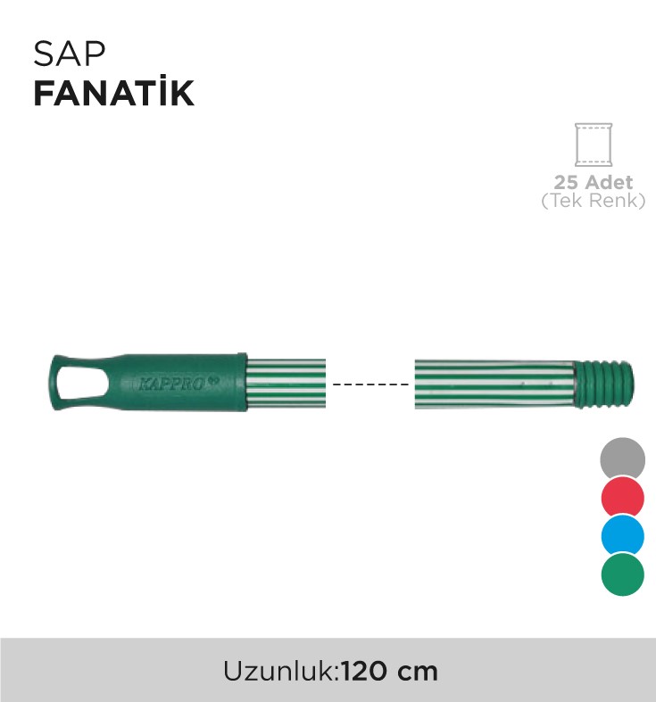 SAP FANATİK