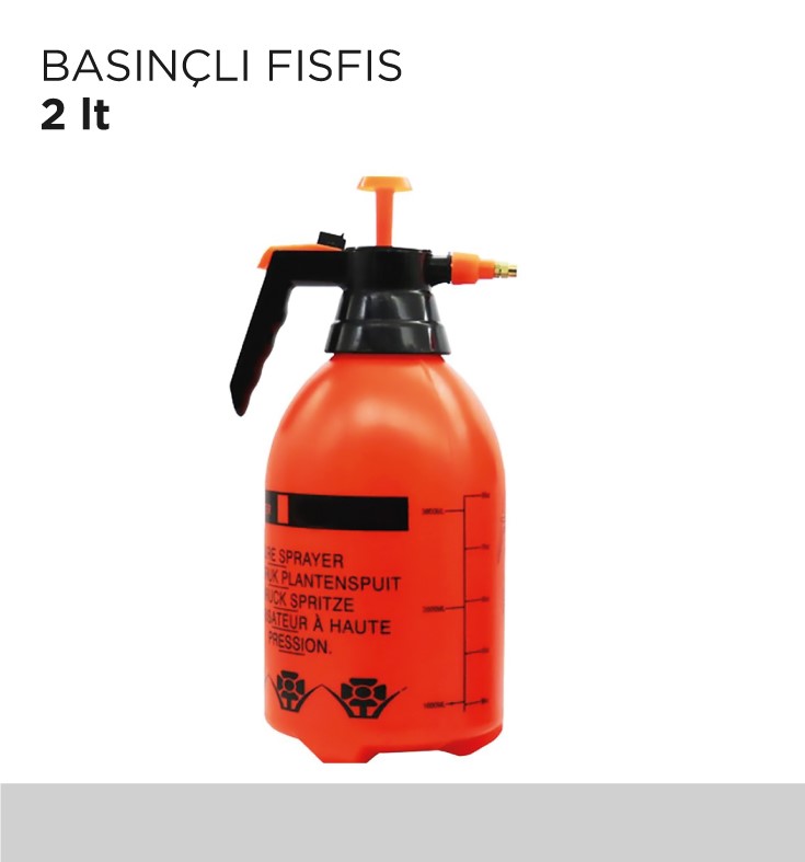 BASINÇLI FISFIS 2LT