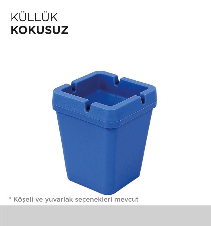 KÜLLÜK KOKUSUZ