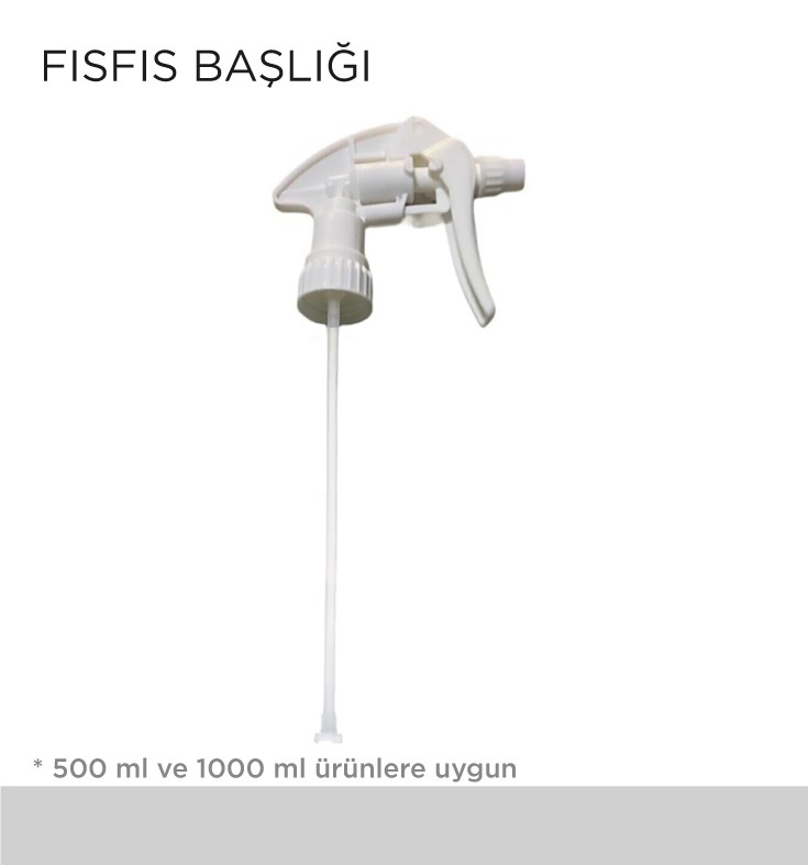 FISFIS BAŞLIĞI