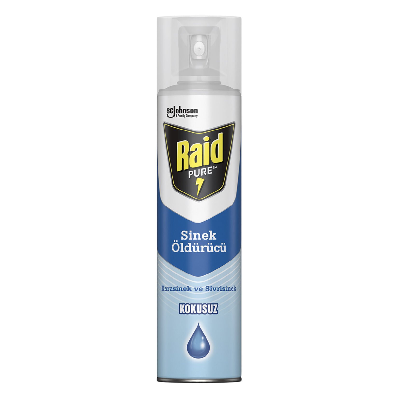 RAİD SİNEK ÖLDÜRÜCÜ KOKUSUZ 300ML